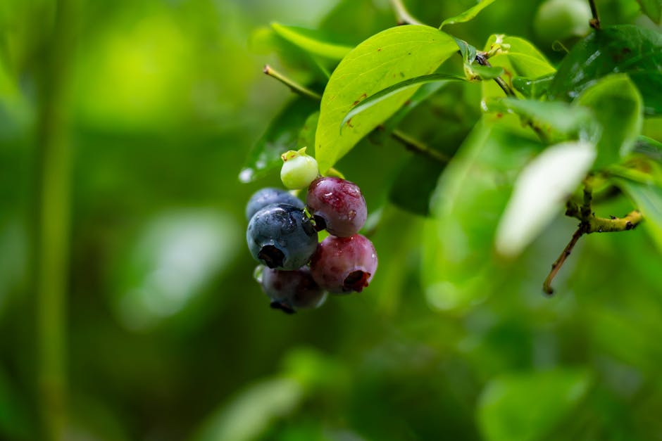 Basische Ernährung: Was ist das und wie wirkt es?