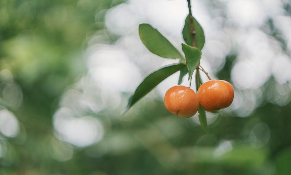 Bio Mokka-Joghurt - basisch oder sauer? Ein Blick auf den PRAL-Wert