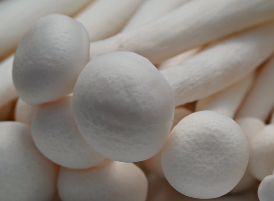 Buchweizen - Für Low Carb geeignet?