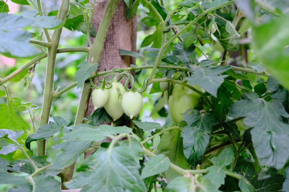 Buttermilch - basisch oder sauer? Ein Blick auf den PRAL-Wert