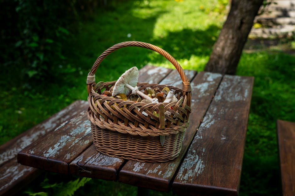 Champignon (Konserve) - basisch oder sauer? Ein Blick auf den PRAL-Wert