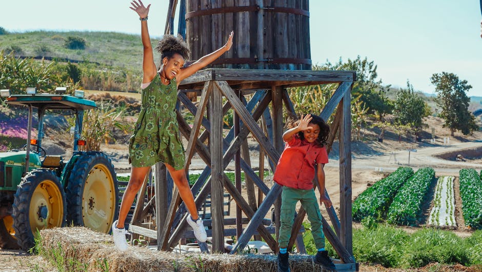 Chia-Samen - Für Low Carb geeignet?