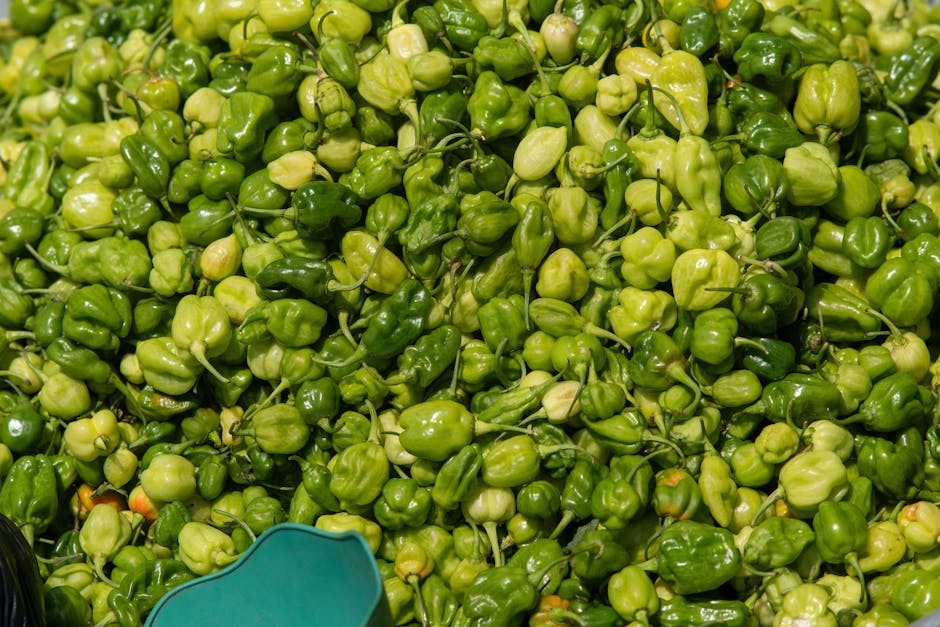 Flunder - basisch oder sauer? Ein Blick auf den PRAL-Wert