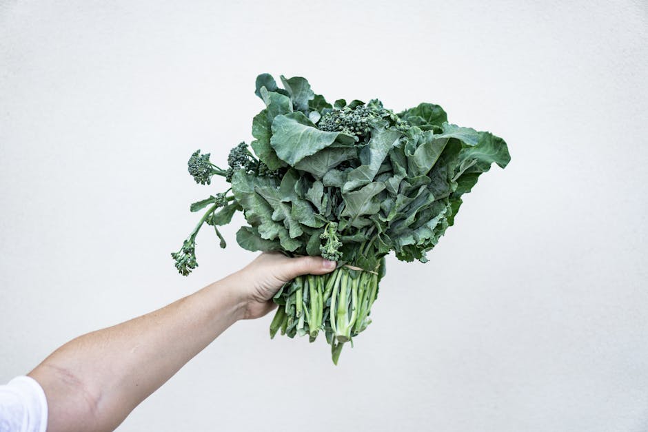 gebackener Mürbeteig (mit pflanzlichem Fett) - Für Low Carb geeignet?
