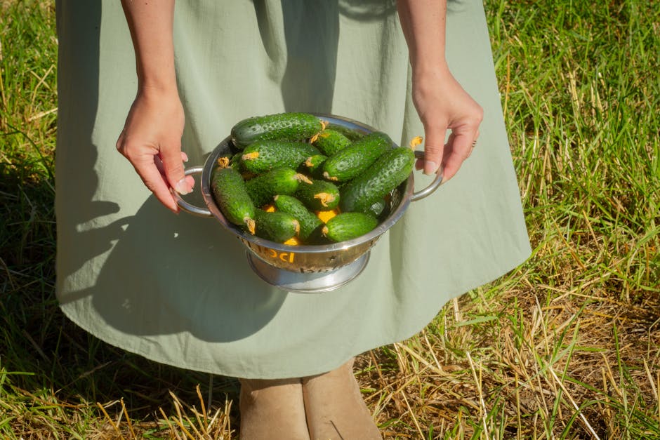 Gorgonzola - Für Low Carb geeignet?