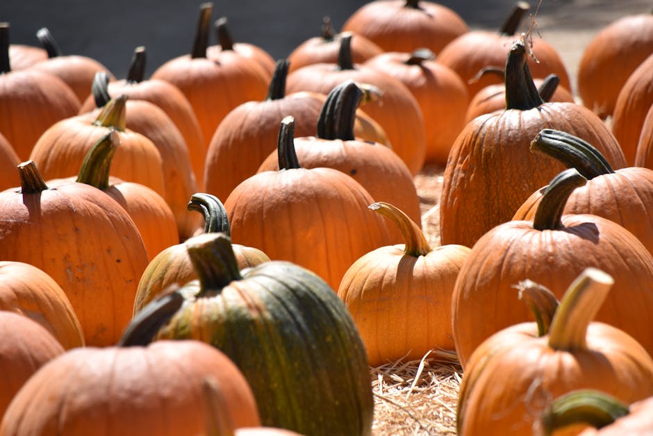Käsekuchen (mit Blätterteig) - Für Low Carb geeignet?