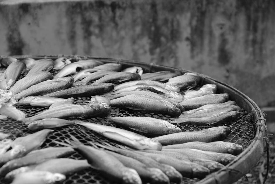 Minipic Würstchen - Für Low Carb geeignet? wpId: '825' wpSlug: minipic-wuerstchen-fuer-low-carb-geeignet wpType: post dateCreated: '2023-06-25 22:59:46' dateModified: '2023-06-25 23:00:06' status: publish author: adminmm categories: - Fleisch & Wurst - Süßigkeiten & Desserts - Low Carb Grundlagen - Nährstoffwissen tags: - lc-geeignet excerpt: >- Minipic Würstchen ist ein beliebtes Lebensmittel aus der Kategorie der Fleisch- und Wurstwaren/Rohwurstware. Aber ist es auch für eine Low Carb Ernährung... parentId: '0' hasRecipes: false type: blog