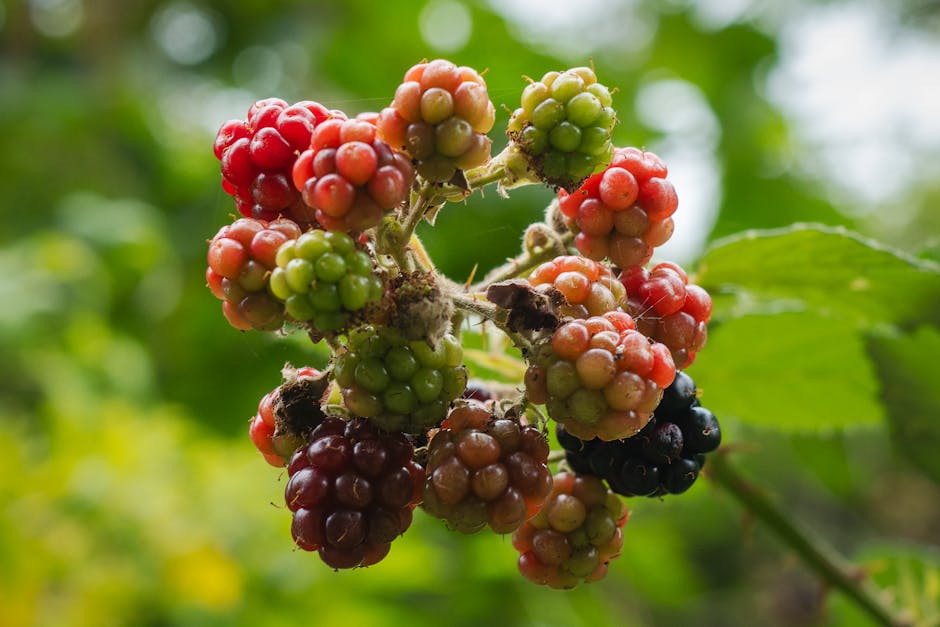 Olive in Salzlake - Für Low Carb geeignet? wpId: '849' wpSlug: olive-in-salzlake-fuer-low-carb-geeignet wpType: post dateCreated: '2023-06-25 23:00:17' dateModified: '2023-06-25 23:00:21' status: publish author: adminmm categories: - Nüsse & Samen - Öle & Fette - Gewürze & Kräuter - Low Carb Grundlagen - Nährstoffwissen tags: - lc-geeignet excerpt: >- Olive in Salzlake ist ein beliebtes Lebensmittel aus der Kategorie der Nüsse, Samen und Ölfrüchte. Aber ist es auch für eine Low Carb Ernährung geeignet? parentId: '0' hasRecipes: false type: blog featuredImage: /images/2023/04/Mindful-Meals.png