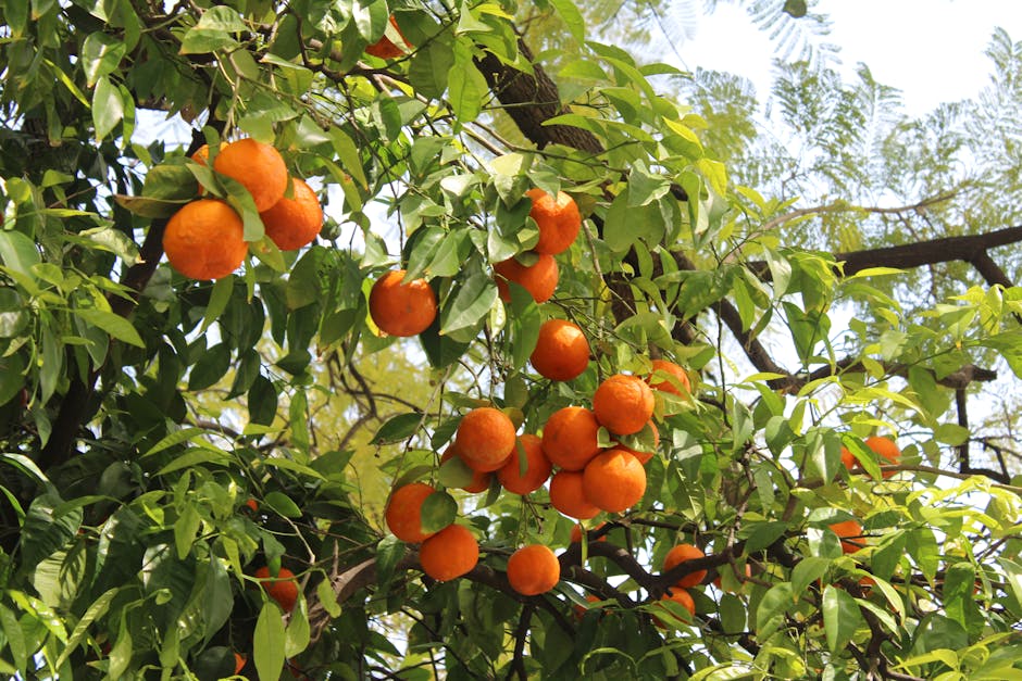 Pancetta - Für Low Carb geeignet? wpId: '857' wpSlug: pancetta-fuer-low-carb-geeignet wpType: post dateCreated: '2023-06-25 23:00:17' dateModified: '2023-06-25 23:00:25' status: publish author: adminmm categories: - Fleisch & Wurst - Süßigkeiten & Desserts - Low Carb Grundlagen - Nährstoffwissen tags: - lc-geeignet excerpt: >- Pancetta ist ein beliebtes Lebensmittel aus der Kategorie der Fleisch- und Wurstwaren/Rohwurstware. Aber ist es auch für eine Low Carb Ernährung geeignet? parentId: '0' hasRecipes: false type: blog