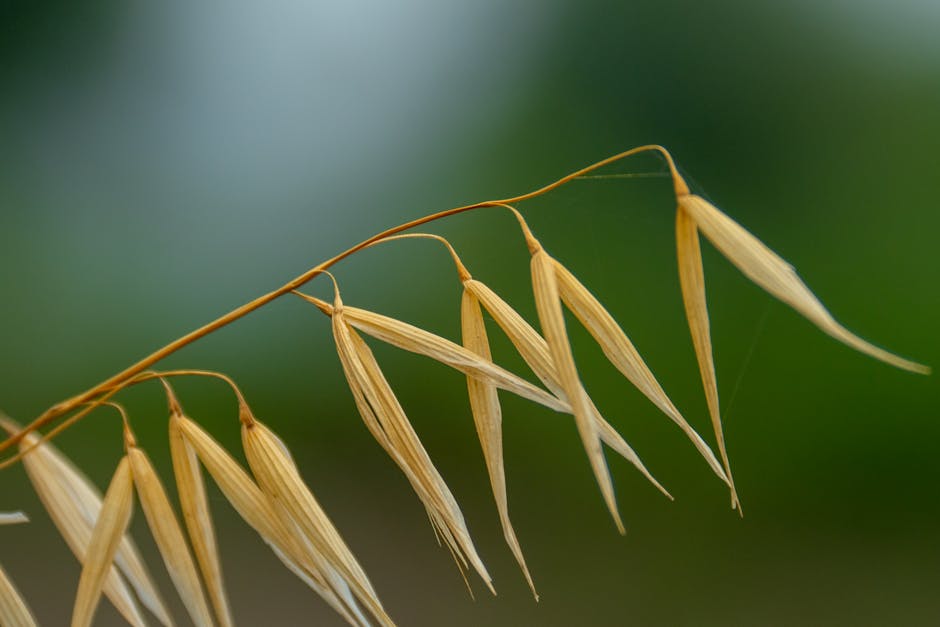 'Rapsöl HOLL (high oleic, low linolenic) - Für Low Carb geeignet?' wpId: '951' wpSlug: rapsoel-holl-high-oleic-low-linolenic-fuer-low-carb-geeignet wpType: post dateCreated: '2023-06-25 23:01:21' dateModified: '2023-06-25 23:01:25' status: publish author: adminmm categories: - Öle & Fette - Low Carb Grundlagen - Nährstoffwissen tags: - lc-geeignet excerpt: >- Rapsöl HOLL (high oleic, low linolenic) ist ein beliebtes Lebensmittel aus der Kategorie der Fette und Öle/Öle. Aber ist es auch für eine Low Carb Ernährung... parentId: '0' hasRecipes: false type: blog