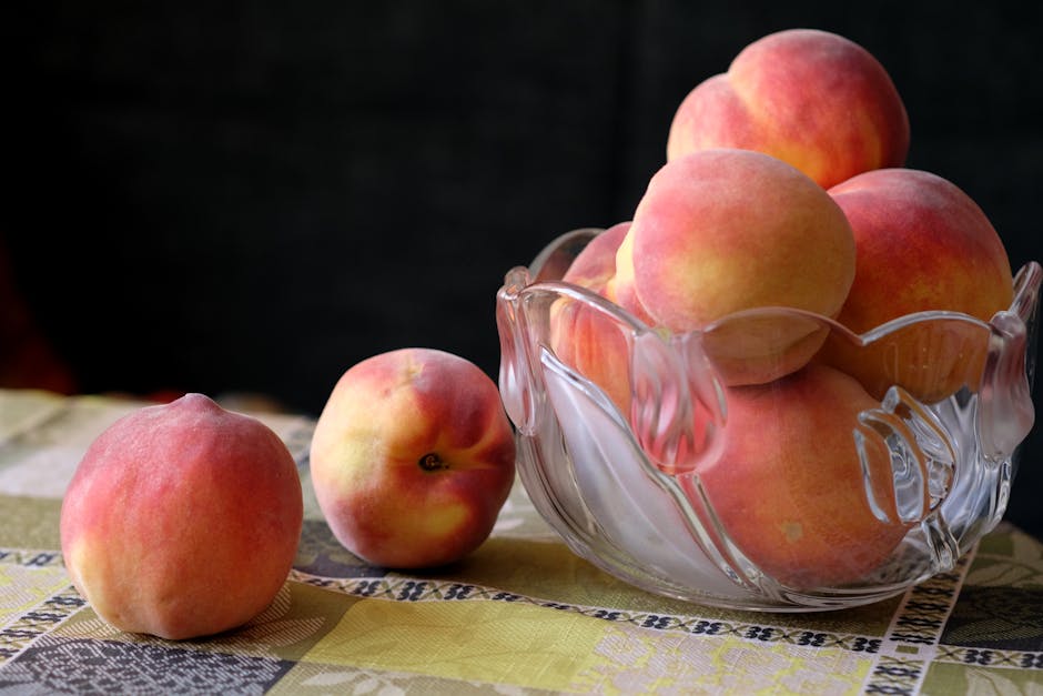 Rotwein (12 vol%) - Für Low Carb geeignet? wpId: '1279' wpSlug: rotwein-12-vol-fuer-low-carb-geeignet wpType: post dateCreated: '2023-06-25 23:04:35' dateModified: '2023-06-25 23:04:46' status: publish author: adminmm categories: - Getränke - Low Carb Grundlagen - Nährstoffwissen tags: - lc-geeignet excerpt: >- Rotwein (12 vol%) ist ein beliebtes Lebensmittel aus der Kategorie der Alkoholhaltige Getränke/Wein. Aber ist es auch für eine Low Carb Ernährung geeignet? parentId: '0' hasRecipes: false type: blog featuredImage: /images/2023/07/rotwein-essig.jpg