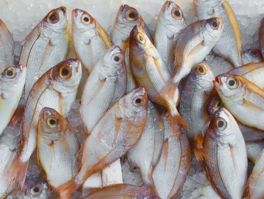 Rührei mit Käse - basisch oder sauer? Ein Blick auf den PRAL-Wert wpId: '14342' wpSlug: ruehrei-mit-kaese-basisch-oder-sauer-ein-blick-auf-den-pral-wert wpType: post dateCreated: '2024-07-22 23:07:27' dateModified: '2024-07-22 23:07:31' status: publish author: adminmm categories: - Milchprodukte & Käse - Basische Ernährung - Nährstoffwissen tags: [] excerpt: >- Du möchtest wissen, ob Rührei mit Käse basisch oder sauer ist? In diesem Blog-Post schauen wir uns den PRAL-Wert von Rührei mit Käse an und parentId: '0' hasRecipes: false type: blog featuredImage: /images/2023/07/frischkaese.jpg